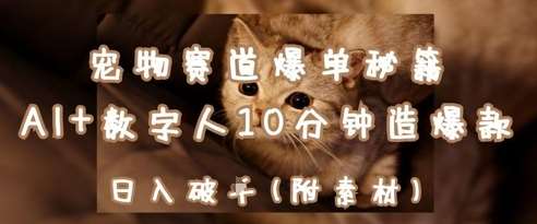 宠物赛道爆单秘籍：AI+数字人10分钟造爆款，日入1k网赚项目-副业赚钱-互联网创业-资源整合南风学院