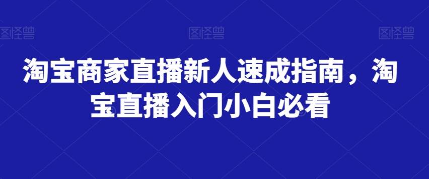 淘宝商家直播新人速成指南，淘宝直播入门小白必看网赚项目-副业赚钱-互联网创业-资源整合南风学院