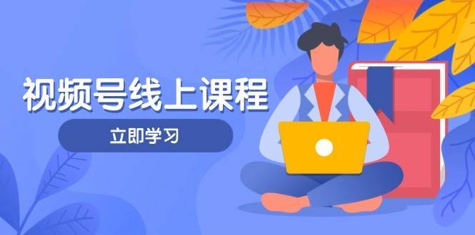 视频号实战课程，轻IP打造与运营技巧，掌握核心方法与策略网赚项目-副业赚钱-互联网创业-资源整合南风学院