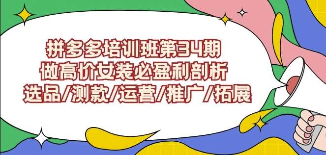 拼多多培训班第34期：做高价女装必盈利剖析选品/测款/运营/推广/拓展网赚项目-副业赚钱-互联网创业-资源整合南风学院