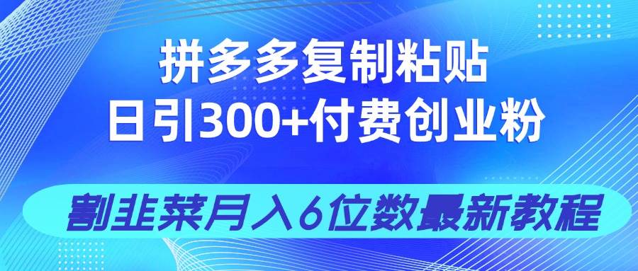 （14232期）拼多多复制粘贴日引300+付费创业粉，割韭菜月入6位数最新教程！网赚项目-副业赚钱-互联网创业-资源整合南风学院