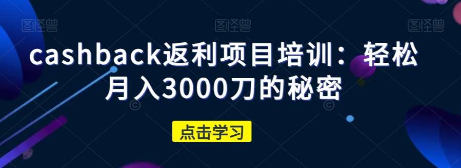 cashback返利项目培训：轻松月入3000刀的秘密网赚项目-副业赚钱-互联网创业-资源整合南风学院