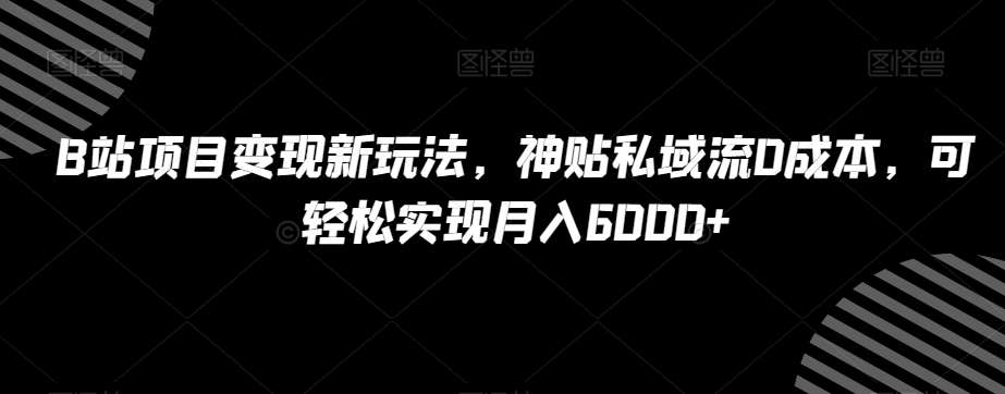 B站项目变现新玩法，神贴私域流0成本，可轻松实现月入6000+【揭秘】网赚项目-副业赚钱-互联网创业-资源整合南风学院