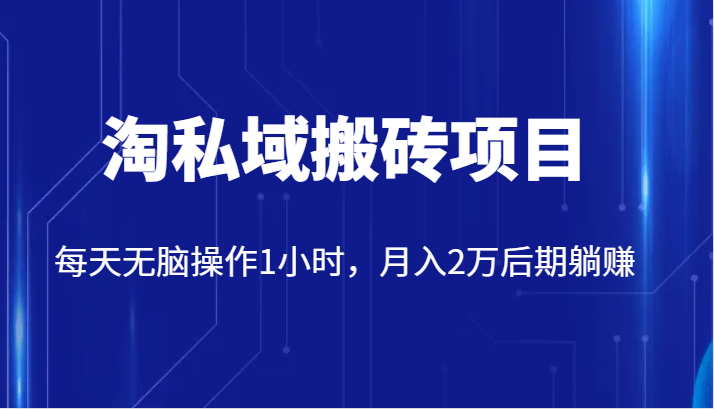 价值2980的淘私域搬砖项目，每天无脑操作1小时，月入2万后期躺赚网赚项目-副业赚钱-互联网创业-资源整合南风学院