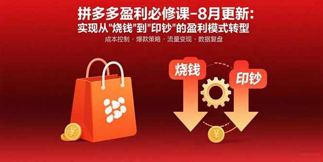 （15771期）拼多多盈利必修课-8月更新：突破运营瓶颈 实现从烧钱到印钞的盈利模式转型网赚项目-副业赚钱-互联网创业-资源整合南风学院