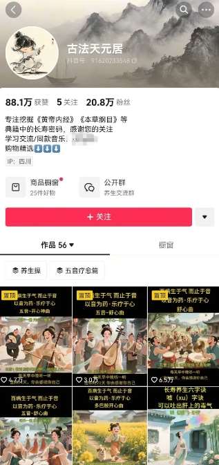 图片[2]-古法五音养生教程，五音疗愈的视频的制作方法，2-4小时就能学会，作者10天涨粉10W-讯领网创