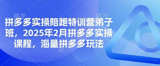拼多多实操陪跑特训营弟子班，2025年2月拼多多实操课程，海量拼多多玩法网赚项目-副业赚钱-互联网创业-资源整合南风学院