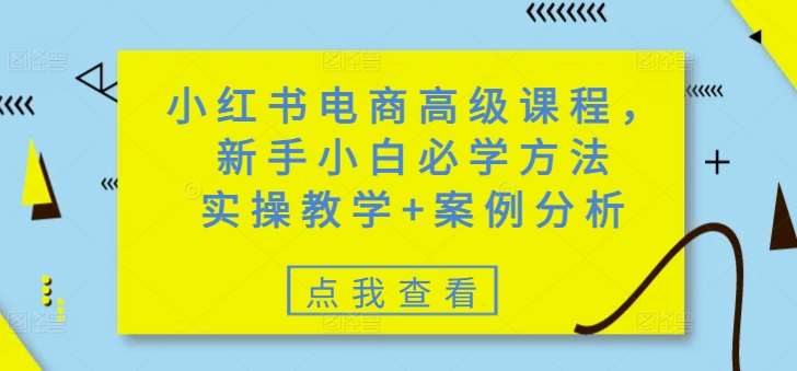 小红书电商高级课程，新手小白必学方法，实操教学+案例分析网赚项目-副业赚钱-互联网创业-资源整合南风学院