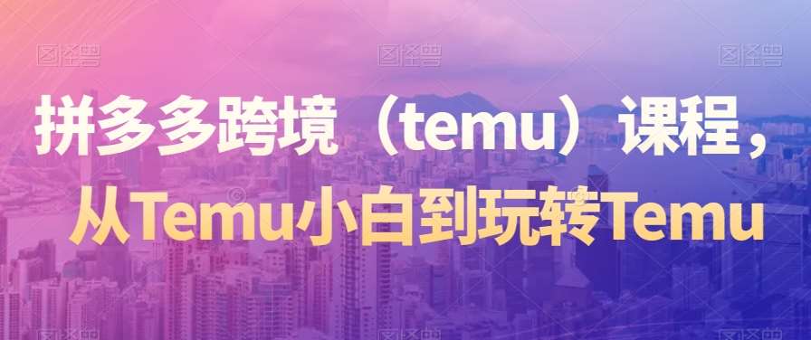 拼多多跨境（temu）课程，从Temu小白到玩转Temu网赚项目-副业赚钱-互联网创业-资源整合南风学院