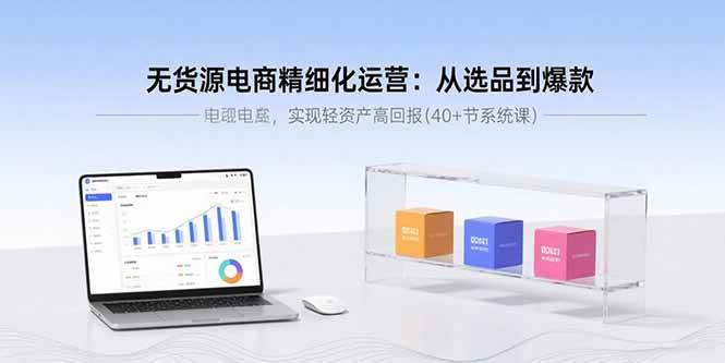 （15896期）无货源电商精细化运营：从选品到爆款，实现轻资产高回报(40+节系统课)网赚项目-副业赚钱-互联网创业-资源整合南风学院