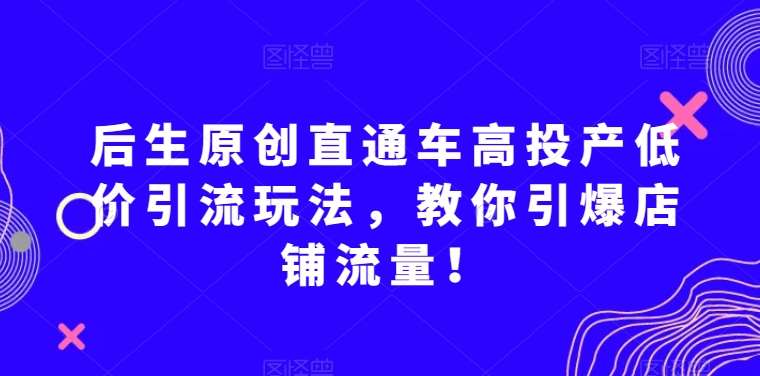 后生原创直通车高投产低价引流玩法，教你引爆店铺流量！网赚项目-副业赚钱-互联网创业-资源整合南风学院