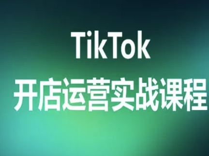 TikTok开店运营实战课程，TK跨境电商实操全流程网赚项目-副业赚钱-互联网创业-资源整合南风学院