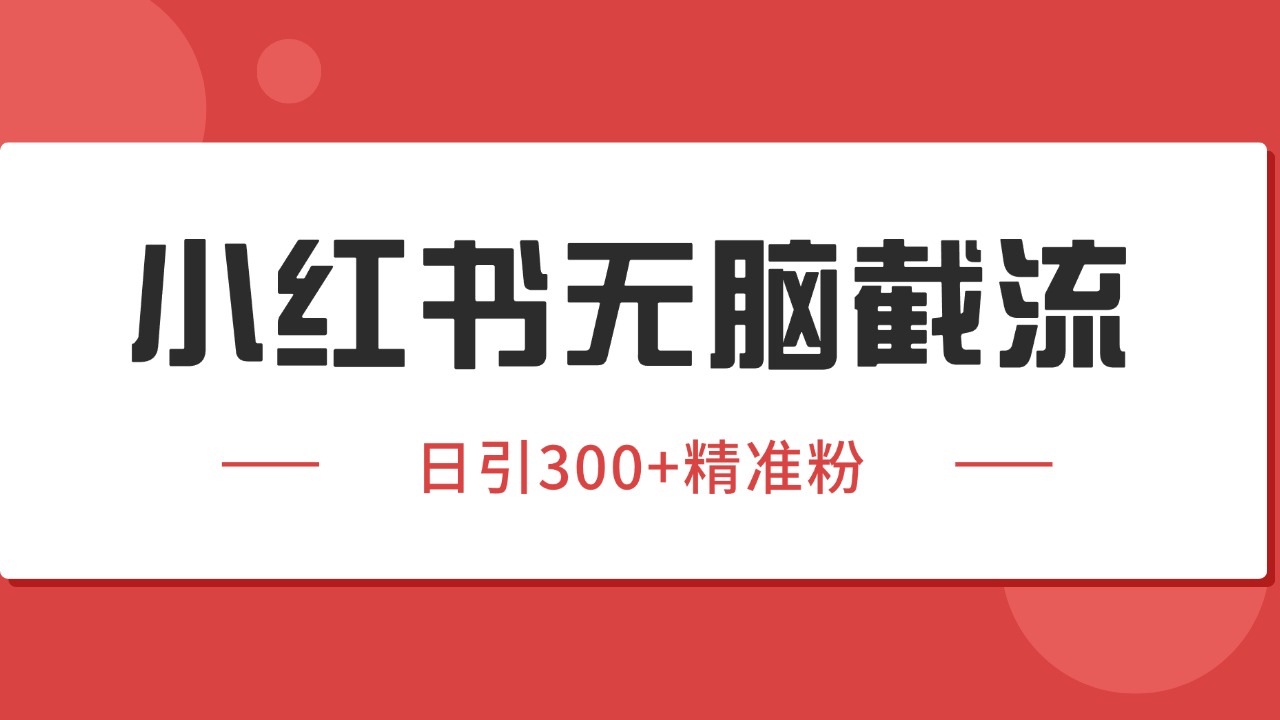 小红书截流同行客源，独家野路子获客玩法 日引200+暴力获客网赚项目-副业赚钱-互联网创业-资源整合南风学院
