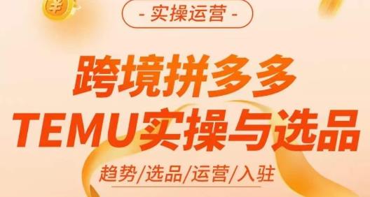 伍跃·跨境拼多多TEMU实操与选品，​趋势/选品/运营/入住（27节完整）网赚项目-副业赚钱-互联网创业-资源整合南风学院