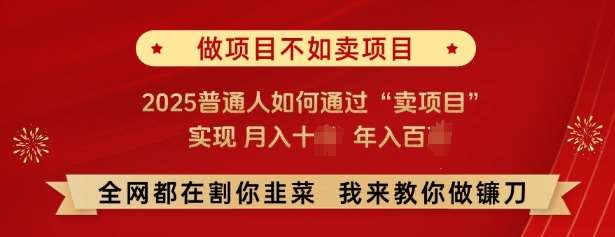 必看，做项目不如卖项目，2025普通人如何通过“卖项目”实现月入十个，年入百个网赚项目-副业赚钱-互联网创业-资源整合南风学院