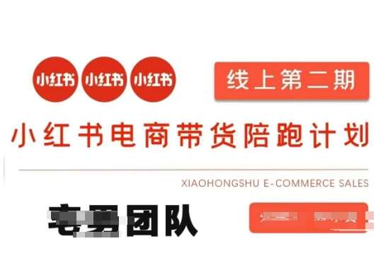 小红书电商带货课2期，月利润20个的小红书电商的有货源，无货源，虚拟产品，付费投流等整套玩法网赚项目-副业赚钱-互联网创业-资源整合南风学院