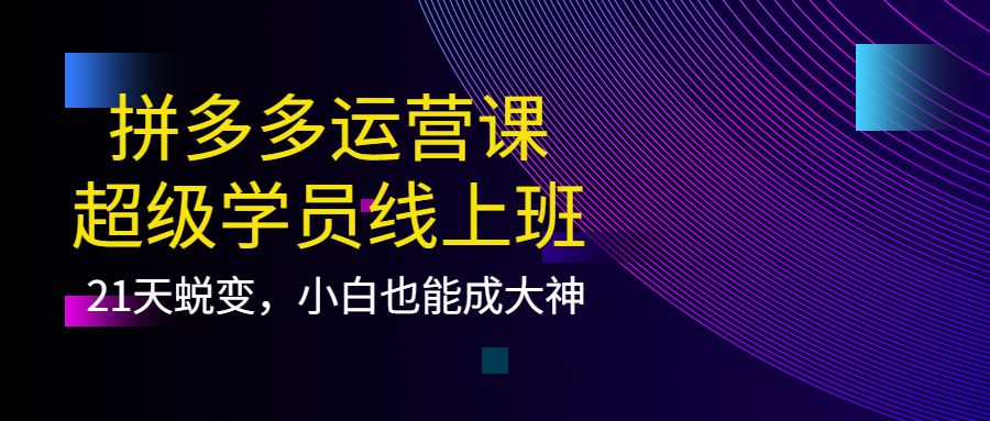 拼多多运营课：超级学员线上班，21天蜕变，小白也能成大神网赚项目-副业赚钱-互联网创业-资源整合南风学院