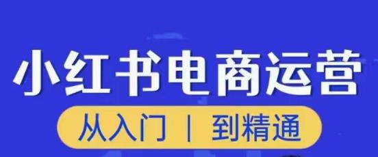 顽石小红书电商高阶运营课程，从入门到精通，玩法流程持续更新网赚项目-副业赚钱-互联网创业-资源整合南风学院