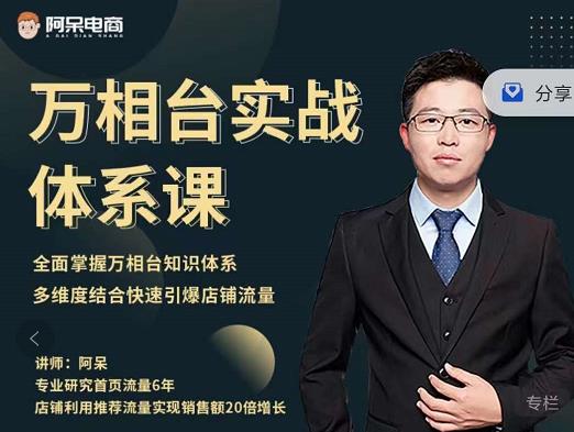 阿呆-万相台实战体系课，帮您全面掌握万相台知识体系网赚项目-副业赚钱-互联网创业-资源整合南风学院