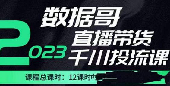 数据哥2023直播电商巨量千川付费投流实操课，快速掌握直播带货运营投放策略网赚项目-副业赚钱-互联网创业-资源整合南风学院