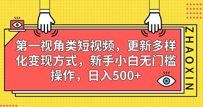 第一视角类短视频，更新多样化变现方式，新手小白无门槛操作，日入500+【揭秘】网赚项目-副业赚钱-互联网创业-资源整合南风学院