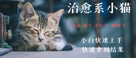 拆解，疯狂火爆！抖音，小红书，视频号小猫治愈的视频，轻松制作+快速拿到结果网赚项目-副业赚钱-互联网创业-资源整合南风学院