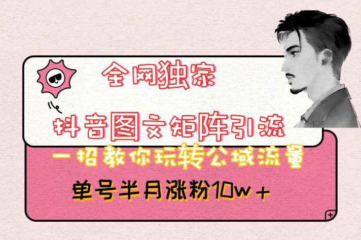 全网独家抖音图文矩阵引流，一招教你玩转公域流量，单号半月涨粉10w+【揭秘】网赚项目-副业赚钱-互联网创业-资源整合南风学院