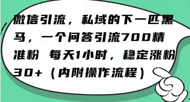 怎么搞精准创业粉？微信新赛道，每天一小时，利用Ai一个问答日引100精准粉网赚项目-副业赚钱-互联网创业-资源整合南风学院