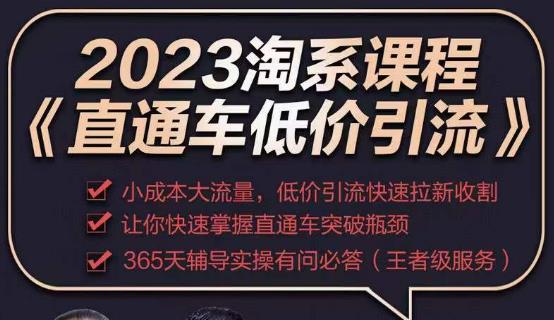 2023直通车低价引流玩法课程，小成本大流量，低价引流快速拉新收割，让你快速掌握直通车突破瓶颈网赚项目-副业赚钱-互联网创业-资源整合南风学院