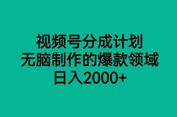 视频号分成计划，无脑制作的爆款领域，日入2000+网赚项目-副业赚钱-互联网创业-资源整合南风学院