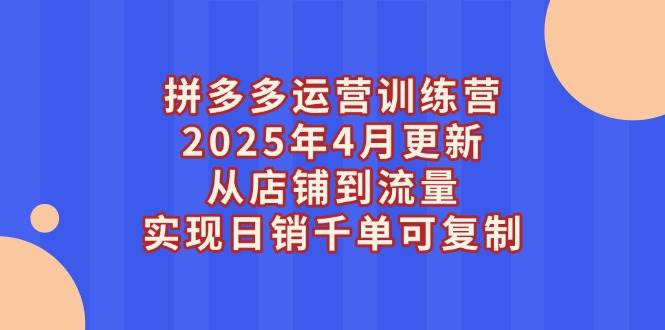 （14469期）拼多多运营训练营2025年4月更新，从店铺到流量，实现日销千单可复制网赚项目-副业赚钱-互联网创业-资源整合南风学院