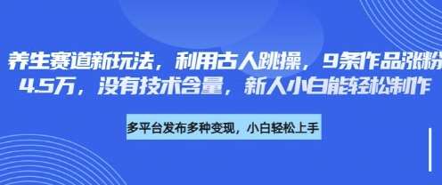 养生赛道新玩法,利用古人跳操,9条作品涨粉4.5W,没有技术含量,新人小白能轻松制作网赚项目-副业赚钱-互联网创业-资源整合南风学院