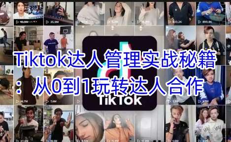 Tiktok达人管理实战秘籍：从0到1玩转达人合作网赚项目-副业赚钱-互联网创业-资源整合南风学院