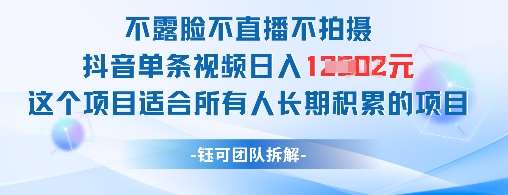 不露脸不直播不拍摄抖音单条视频日入1k+这个项目适合所有人长期积累的项目网赚项目-副业赚钱-互联网创业-资源整合南风学院
