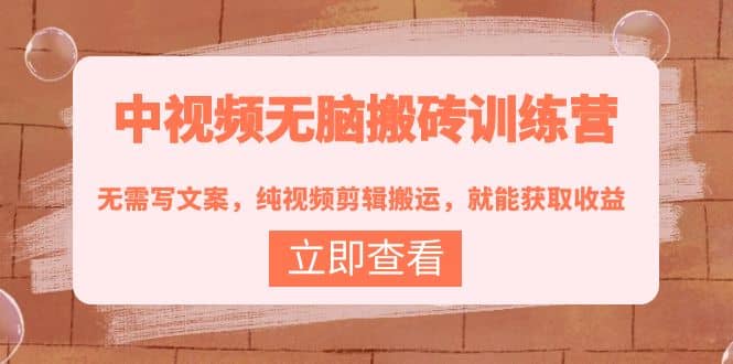 中视频无脑搬砖训练营：无需写文案，纯视频剪辑搬运，就能获取收益网赚项目-副业赚钱-互联网创业-资源整合南风学院