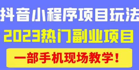抖音小程序9.0新技巧，2023热门副业项目，动动手指轻松变现网赚项目-副业赚钱-互联网创业-资源整合南风学院