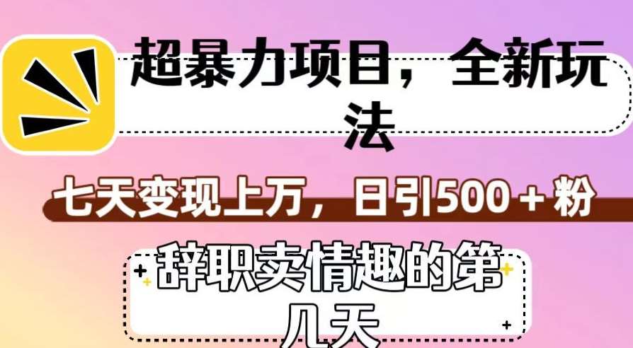 超暴利项目，全新玩法（辞职卖情趣的第几天），七天变现上万，日引500+粉【揭秘】网赚项目-副业赚钱-互联网创业-资源整合南风学院