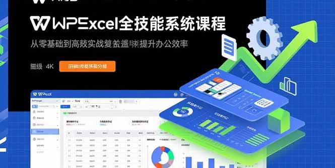 （15873期）WPS Excel全技能系统课程：从零基础到高阶实战全覆盖，全面提升办公效率网赚项目-副业赚钱-互联网创业-资源整合南风学院