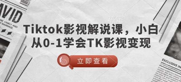 TikTok影视解说课，小白从0-1学会TK影视变现网赚项目-副业赚钱-互联网创业-资源整合南风学院