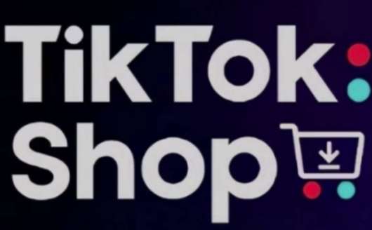 TikTokShop跨境电商0-1实战，手把手教你低成本启动海外市场网赚项目-副业赚钱-互联网创业-资源整合南风学院