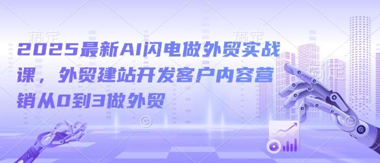 2025最新AI闪电做外贸实战课，外贸建站开发客户内容营销从0到3做外贸网赚项目-副业赚钱-互联网创业-资源整合南风学院