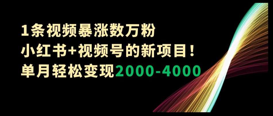 1条视频暴涨数万粉–小红书+视频号的新项目！单月轻松变现2000-4000【揭秘】网赚项目-副业赚钱-互联网创业-资源整合南风学院