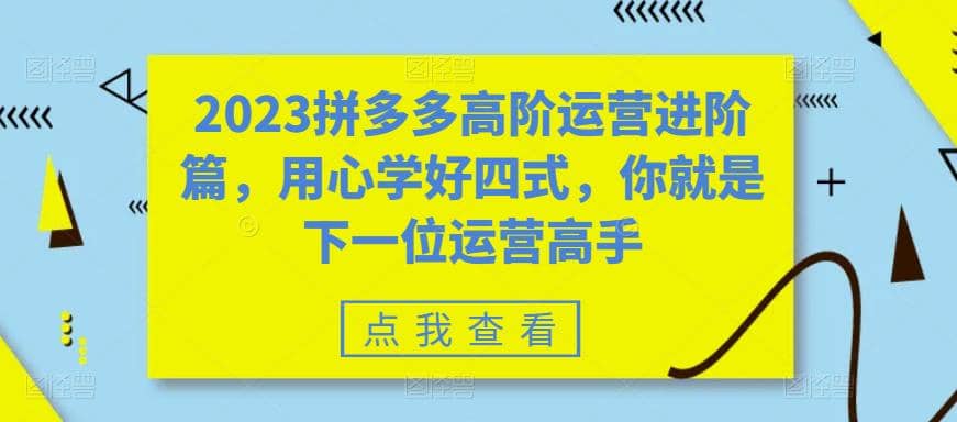 2023拼多多高阶运营进阶篇，用心学好四式，你就是下一位运营高手网赚项目-副业赚钱-互联网创业-资源整合南风学院