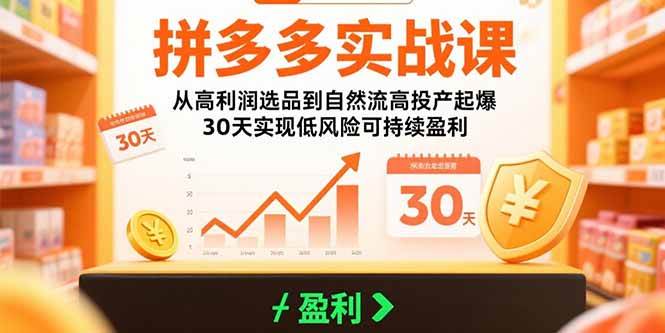 （15586期）拼多多实战课：从高利润选品到自然流高投产起爆 30天实现低风险可持续盈利网赚项目-副业赚钱-互联网创业-资源整合南风学院