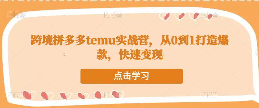 跨境拼多多temu实战营，从0到1打造爆款，快速变现网赚项目-副业赚钱-互联网创业-资源整合南风学院