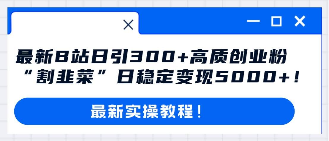 （8216期）最新B站日引300+高质创业粉教程！“割韭菜”日稳定变现5000+！网赚项目-副业赚钱-互联网创业-资源整合南风学院