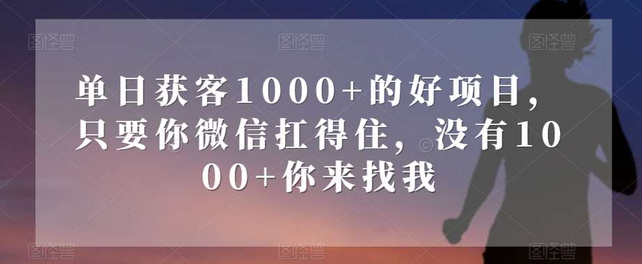 单日获客1000+的好项目，只要你微信扛得住，没有1000+你来找我【揭秘】网赚项目-副业赚钱-互联网创业-资源整合南风学院