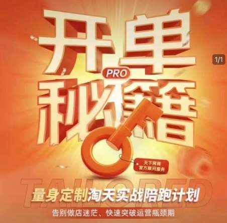 淘宝开单秘籍PRO，量身定制淘天实战陪跑计划，告别做店迷茫、快速突破运营瓶颈期网赚项目-副业赚钱-互联网创业-资源整合南风学院