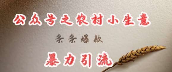 deepseek写农村小项目，条条爆款，暴力引流网赚项目-副业赚钱-互联网创业-资源整合南风学院