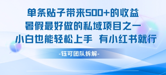 单条贴子带来5张的收益，暑假最好做的私域项目之一，小白也能轻松上手，有小红书就行网赚项目-副业赚钱-互联网创业-资源整合南风学院